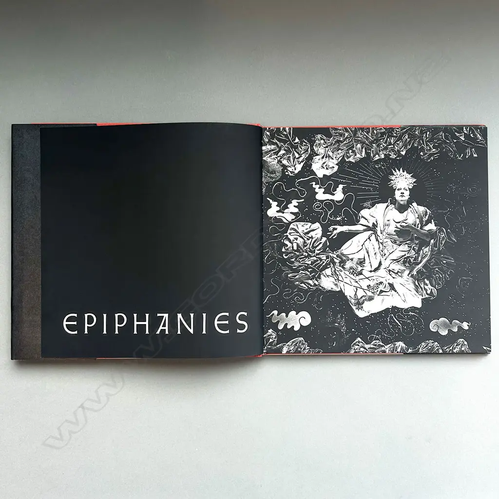 STEVEN ARNOLD: EPIPHANIES Image 1++